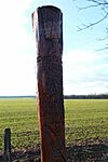 IMG_20260215_151518
