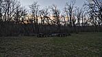 IMG_20260215_165926