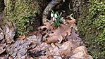 IMG_20260208_120938