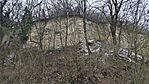IMG_20260217_102124