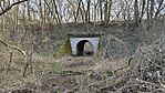IMG_20260217_154255