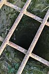 IMG_20260217_155527