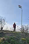 IMG_20260217_160237
