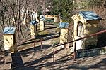 IMG_20260218_113149