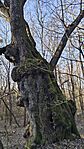 IMG_20260218_153656