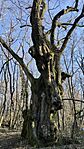 IMG_20260218_153724