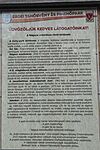 IMG_20260218_171346