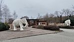 IMG_20260210_164238