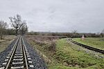 IMG_20260210_093047