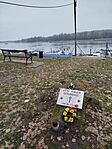IMG_20260201_144858