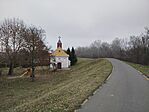 IMG_20260201_145738