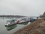 IMG_20260201_144226