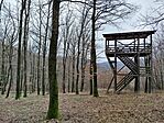 IMG_20260131_111803