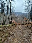 IMG_20260131_111958