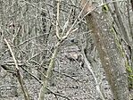 IMG_20260131_112548