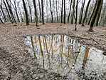 IMG_20260131_110055