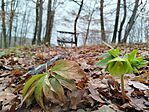 IMG_20260131_111734