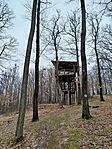 IMG_20260131_111330