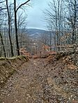 IMG_20260131_111953