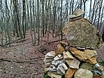 IMG_20260131_104506