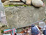 IMG_20260131_104448