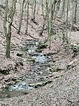 IMG_20260131_121822