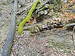 IMG_20260131_121504