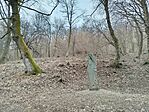 IMG_20260131_115759