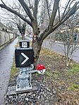 IMG_20260202_162232