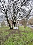 IMG_20260202_155540