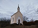 IMG_20260206_170035