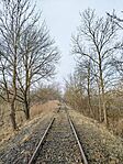 IMG_20260213_093652