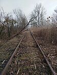 IMG_20260213_092923