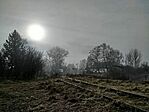 IMG_20260213_092602