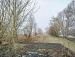 IMG_20260213_092534