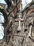 IMG_20260213_095516