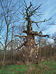 IMG_20260213_095504