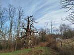 IMG_20260213_095456