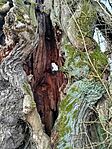 IMG_20260213_095606