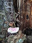 IMG_20260213_095630