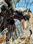 IMG_20260213_095904