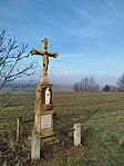IMG_20260213_094856