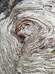 IMG_20260213_095733