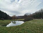 IMG_20260214_113340
