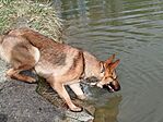 IMG_20260214_105842