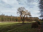 IMG_20260214_110504