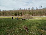 IMG_20260214_110249