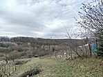 IMG_20260214_114209
