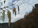 IMG_20260214_114148