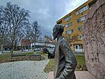 IMG_20260215_080413